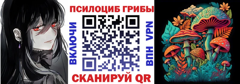 Галлюциногенные грибы Psilocybine cubensis  магазин  наркотиков  Феодосия 
