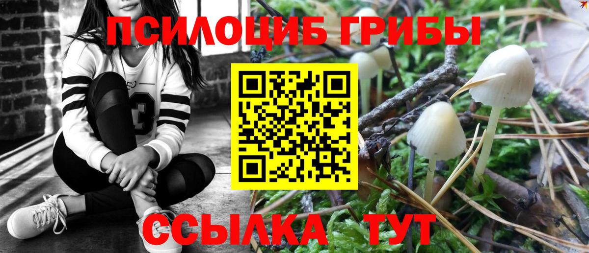 Галлюциногенные грибы ЛСД  Псилоцибиновые грибы Cubensis  Вход с VPN  Феодосия 
