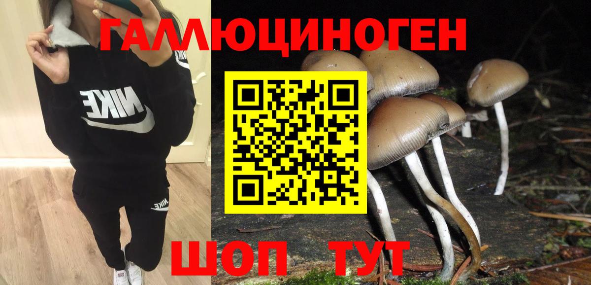 Галлюциногенные грибы прущие грибы Феодосия